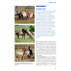 Comportamientos y posturas Comportamientos y posturas