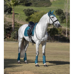 Mantilla LeMieux Loire Dressage Square Verde pavo real Mantilla LeMieux Loire Dressage Square Verde pavo real