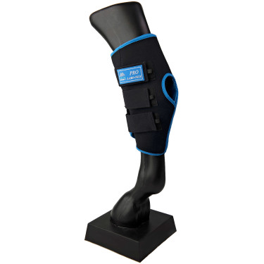 Protector de corvejones LAMI-CELL “Ice Boots” Negro / azúl Protector de corvejones LAMI-CELL “Ice Boots” Negro / azúl