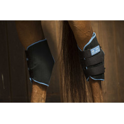 Protector de corvejones LAMI-CELL “Ice Boots” Negro / azúl Protector de corvejones LAMI-CELL “Ice Boots” Negro / azúl