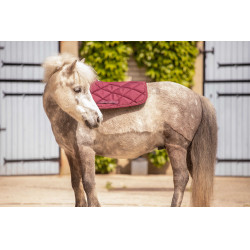 Mantilla Paddock Sports Prems Ciruela Violeta