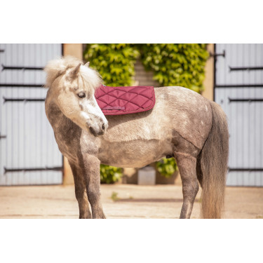 Mantilla Paddock Sports Prems Ciruela Violeta