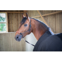 Manta Paddock Sports Light Mesh Negro