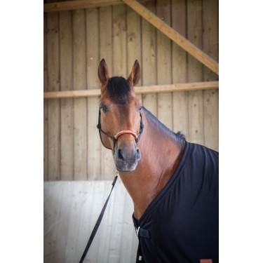 Manta Paddock Sports Séchante Negro Manta Paddock Sports Séchante Negro