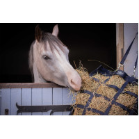 Red para heno Paddock Sports Filet à foin Negro Red para heno Paddock Sports Filet à foin Negro