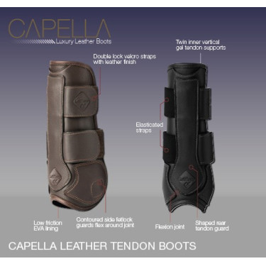 Protectores de tendón LeMieux Capella Protectores de tendón LeMieux Capella