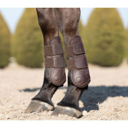 Protectores de tendón LeMieux Capella Protectores de tendón LeMieux Capella