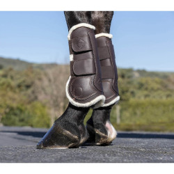 Protectores de tendón LeMieux Capella Comfort Protectores de tendón LeMieux Capella Comfort