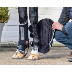 Protectores de tendón LeMieux Conductive Magno Protectores de tendón LeMieux Conductive Magno