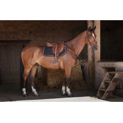 Pechopetral Eric Thomas Hybrid Havana Marrón