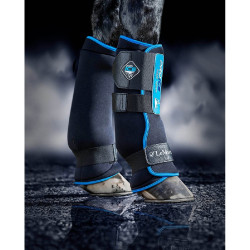 Protectores de tendón ProIce LeMieux Protectores de tendón ProIce LeMieux