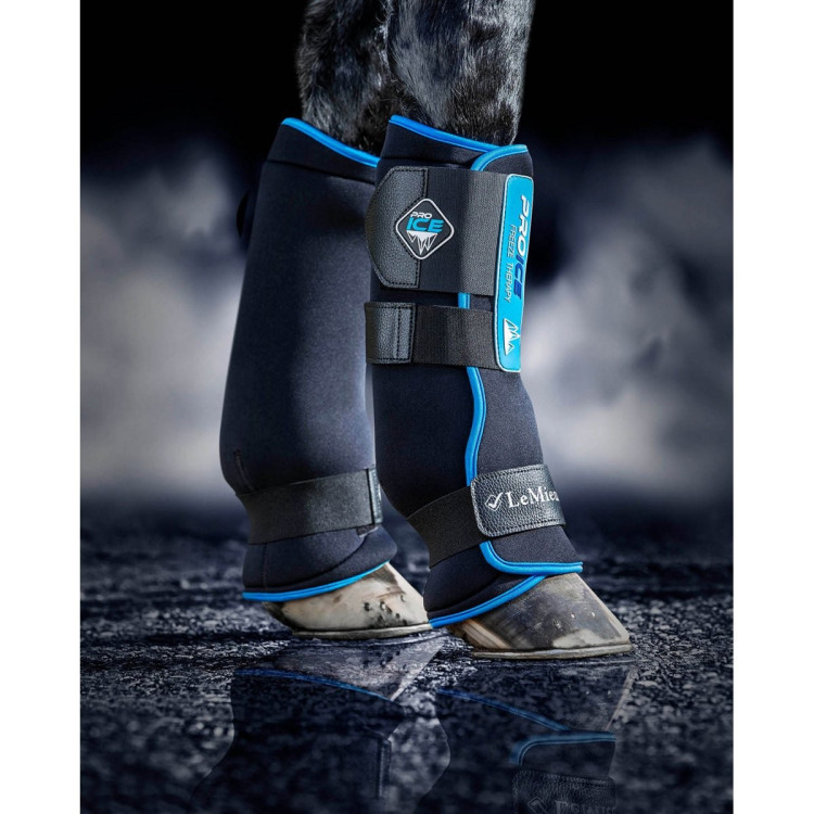 Protectores de tendón ProIce LeMieux Protectores de tendón ProIce LeMieux