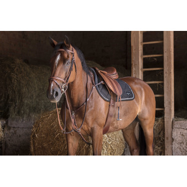 Pechopetral Eric Thomas Hybrid Havana Marrón