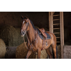 Pechopetral Eric Thomas Hybrid Havana Marrón