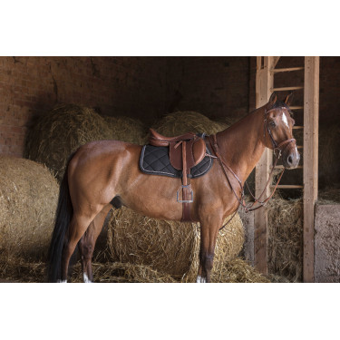 Pechopetral Eric Thomas Hybrid Havana Marrón