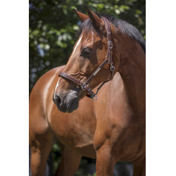 Cabezada de cuero Norton Pro Grooming Havana Marr&amp;amp;amp;oacute;n