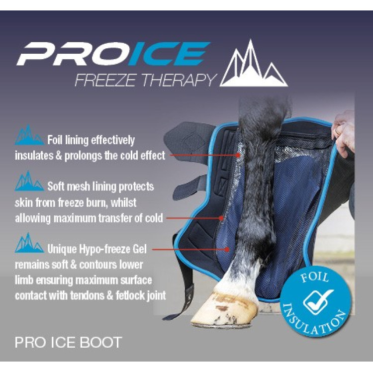 Protectores de tendón ProIce LeMieux Protectores de tendón ProIce LeMieux
