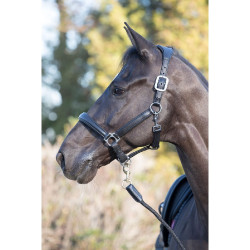 Cabezada de cuadra LeMieux Anatomic Cabezada de cuadra LeMieux Anatomic