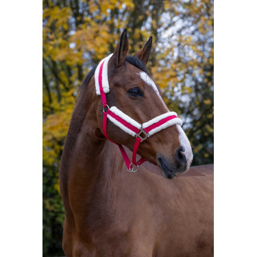 Cabezada de cuadra Norton Confort Frambuesa Rojo