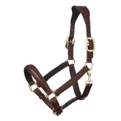 Cabezada de cuadra LeMieux Anatomic Castaño