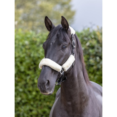 Cabezada de cuadra LeMieux Comfort Cabezada de cuadra LeMieux Comfort