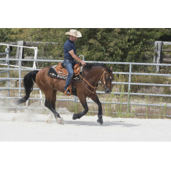 Silla WESTRIDE by Franck Perret Aurora Avellana Marrón