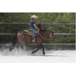 Silla WESTRIDE by Franck Perret Aurora Avellana Marrón