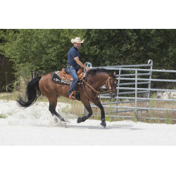 Silla WESTRIDE by Franck Perret Aurora Avellana Marrón