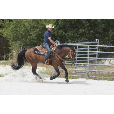 Silla WESTRIDE by Franck Perret Aurora Avellana Marrón