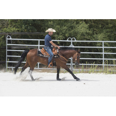 Silla WESTRIDE by Franck Perret Aurora Avellana Marrón