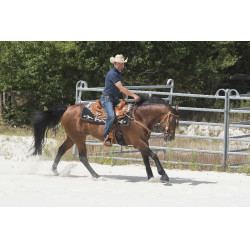 Silla WESTRIDE by Franck Perret Aurora Avellana Marrón