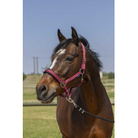 Cabezada de cuadra NORTON 4lines