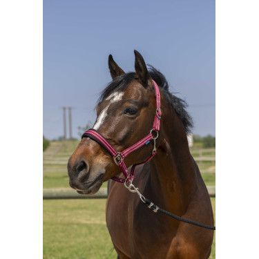 Cabezada de cuadra NORTON 4lines Burdeos