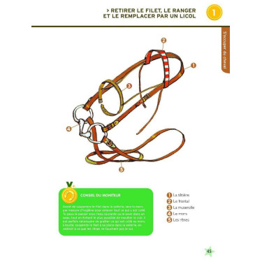 Galopes 1 y 2 Nueva edición