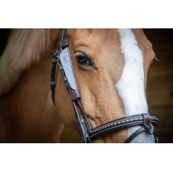 Anteojeras Pénélope Blinkers Havana Marr&amp;oacute;n