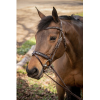 Cabezada Pénélope Smoothie