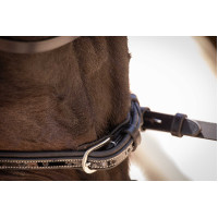 Cabezada Pénélope Smoothie Negro