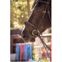 Cabezada Pénélope Smoothie Havana Marrón