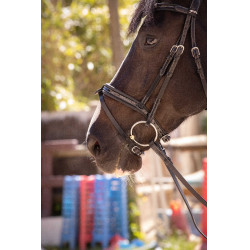 Cabezada Pénélope Smoothie Negro