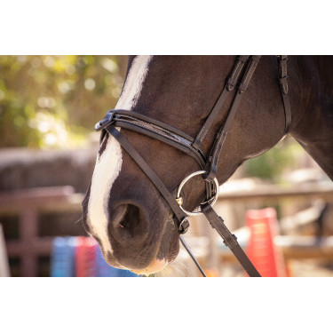 Cabezada Pénélope Smoothie Negro