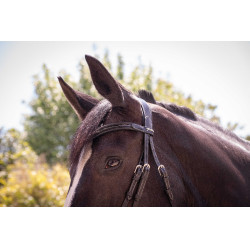 Cabezada Pénélope Smoothie Negro