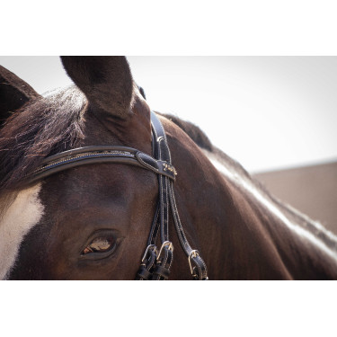 Cabezada Pénélope Smoothie Negro