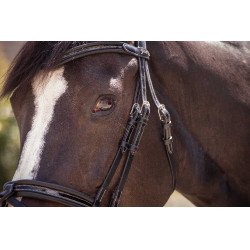 Cabezada Pénélope Smoothie Negro