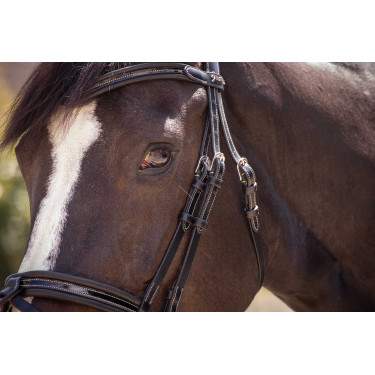 Cabezada Pénélope Smoothie Negro