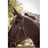 Cabezada Pénélope Smoothie Havana Marrón