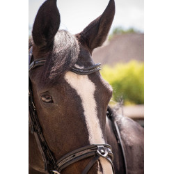 Cabezada Pénélope Smoothie Negro