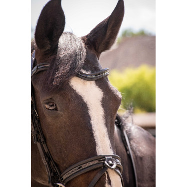 Cabezada Pénélope Smoothie Negro