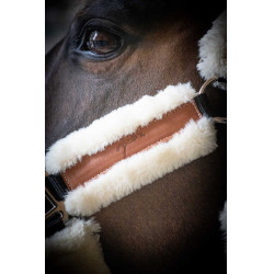 Cabezada de cuadra Pénélope Soft Negro / beige