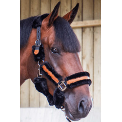 Cabezada de cuadra Pénélope Soft Negro Cabezada de cuadra Pénélope Soft Negro