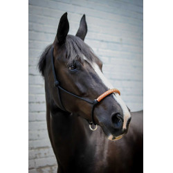 Cabezada de cuadra Pénélope American Negro